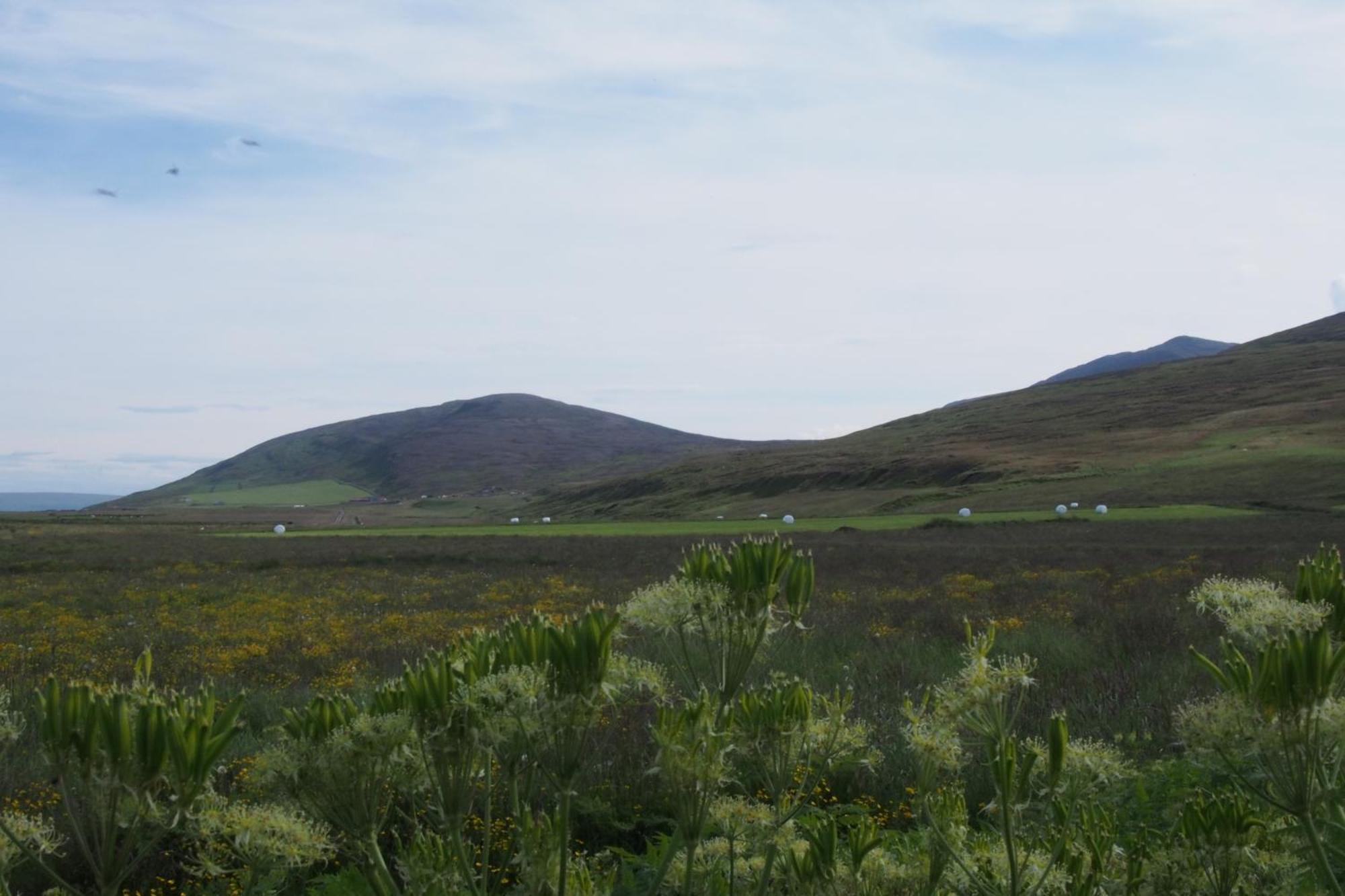 Granastathir Guesthouse Husavik Bagian luar foto