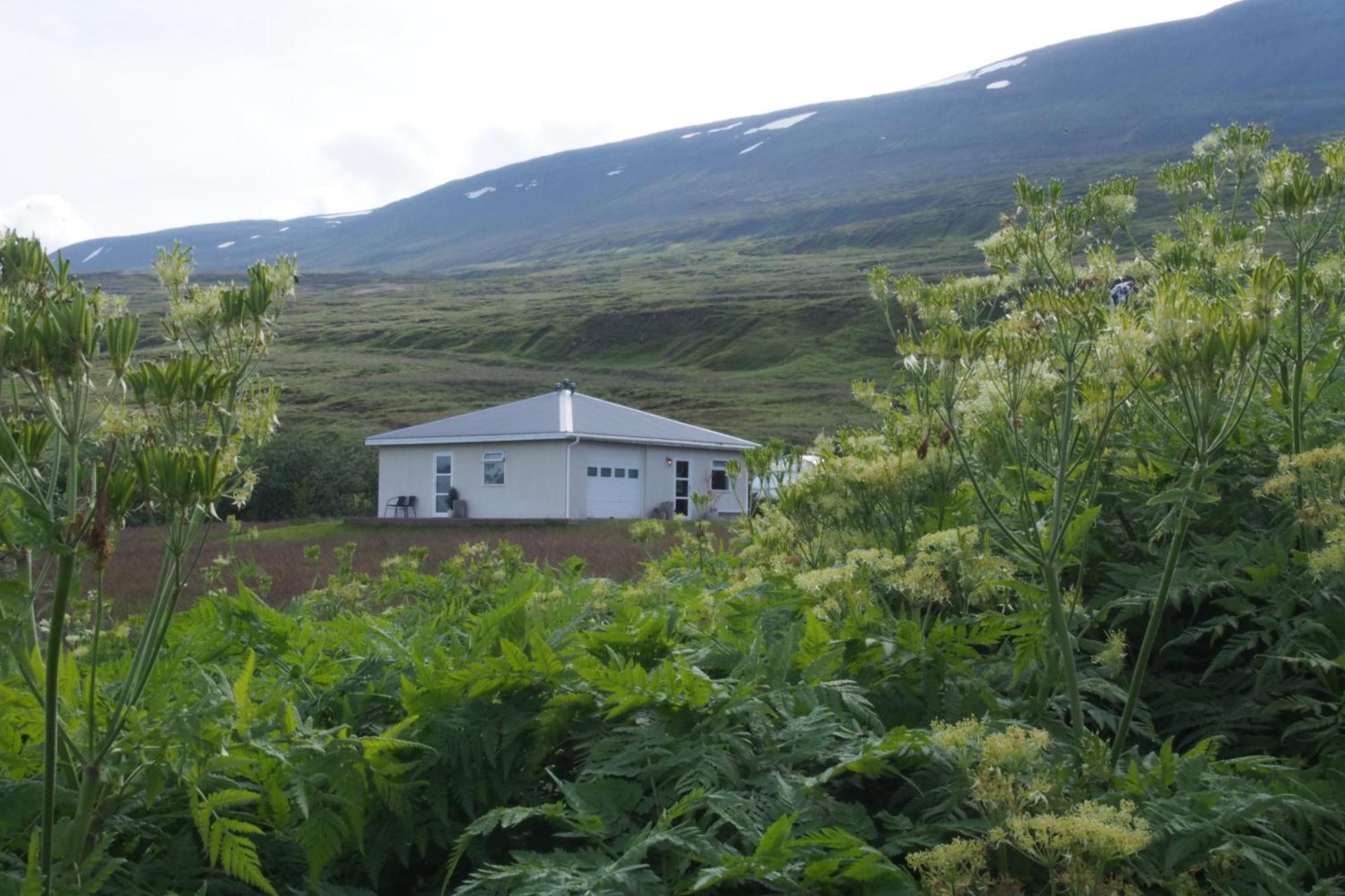 Granastathir Guesthouse Husavik Bagian luar foto