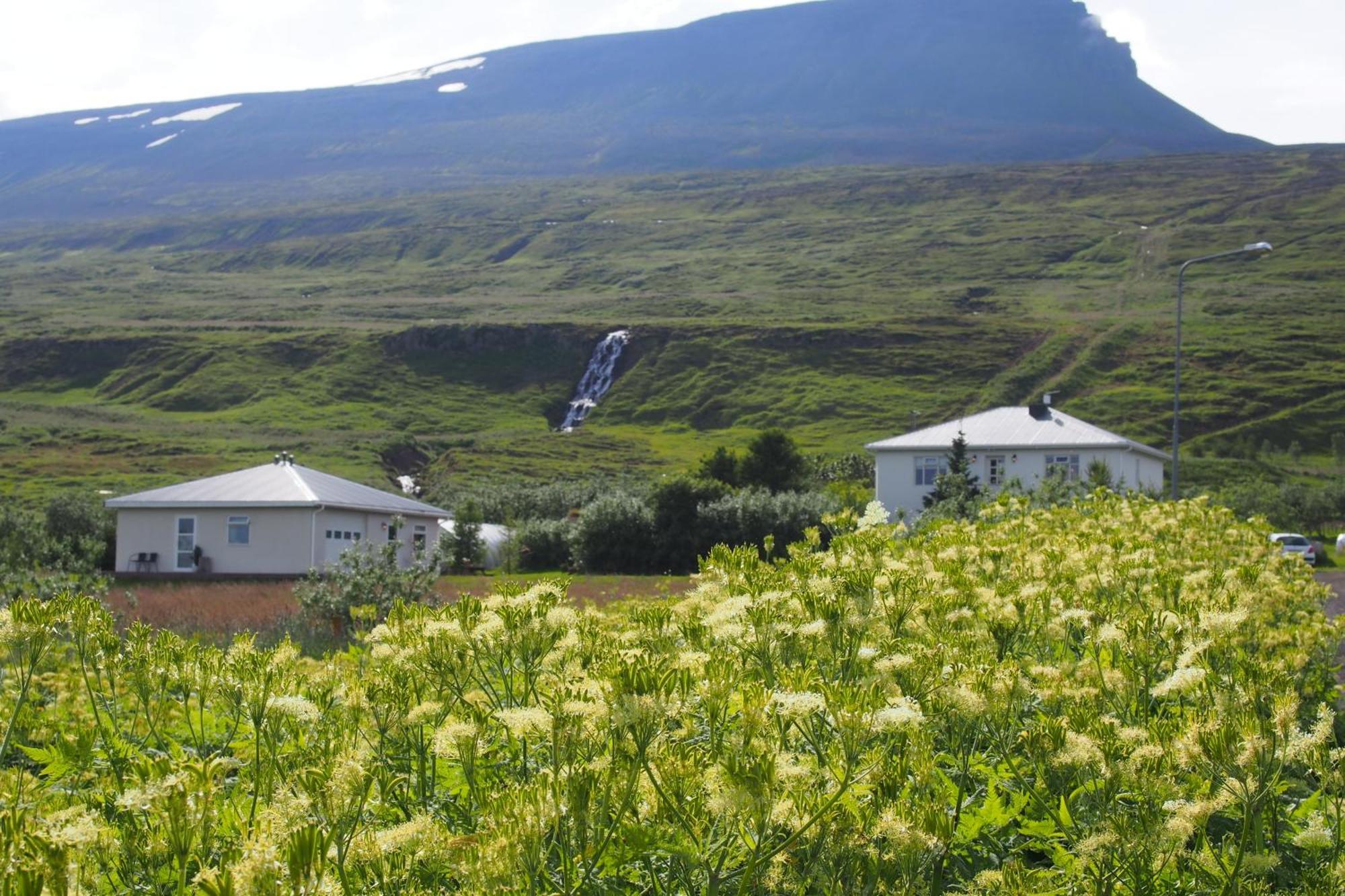 Granastathir Guesthouse Husavik Bagian luar foto