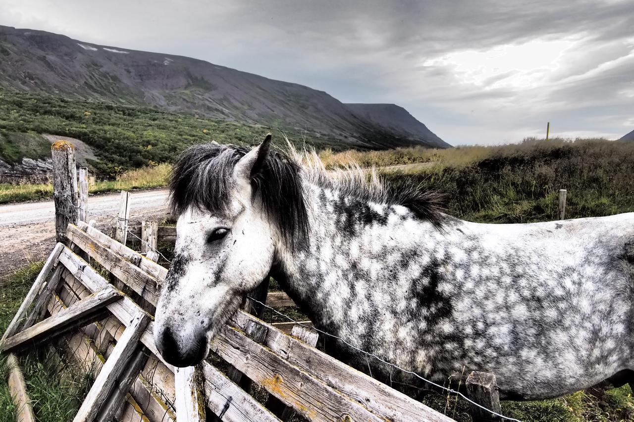Granastathir Guesthouse Husavik Bagian luar foto